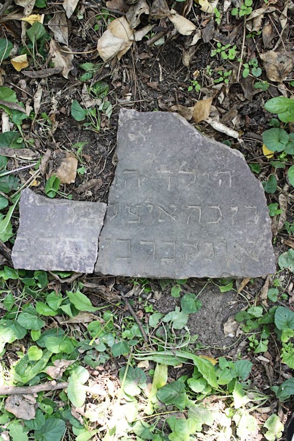 Grabstein Nummer 10 auf dem Friedhof Moryń (Mohrin)