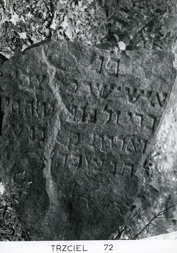 Grabstein Nummer 67 auf dem Friedhof Trzciel (Tirschtiegel)