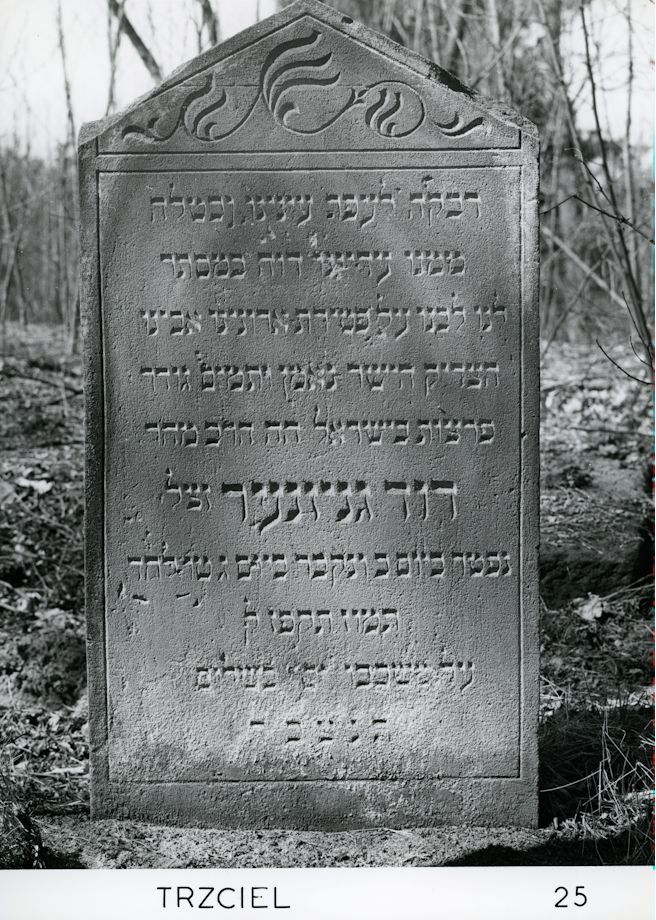 Grabstein Nummer 144 auf dem Friedhof Trzciel (Tirschtiegel)