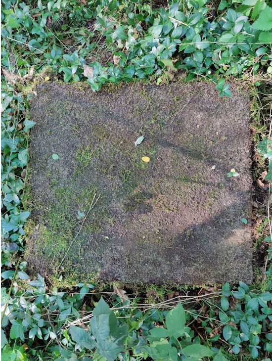 Grabstein Nummer 34 auf dem Friedhof Boleszkowice (Fürstenfelde)