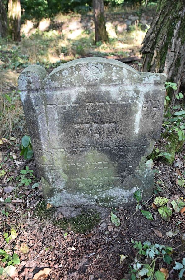 Grabstein Nummer 57 auf dem Friedhof Trzemeszno Lubuskie (Schermeisel)