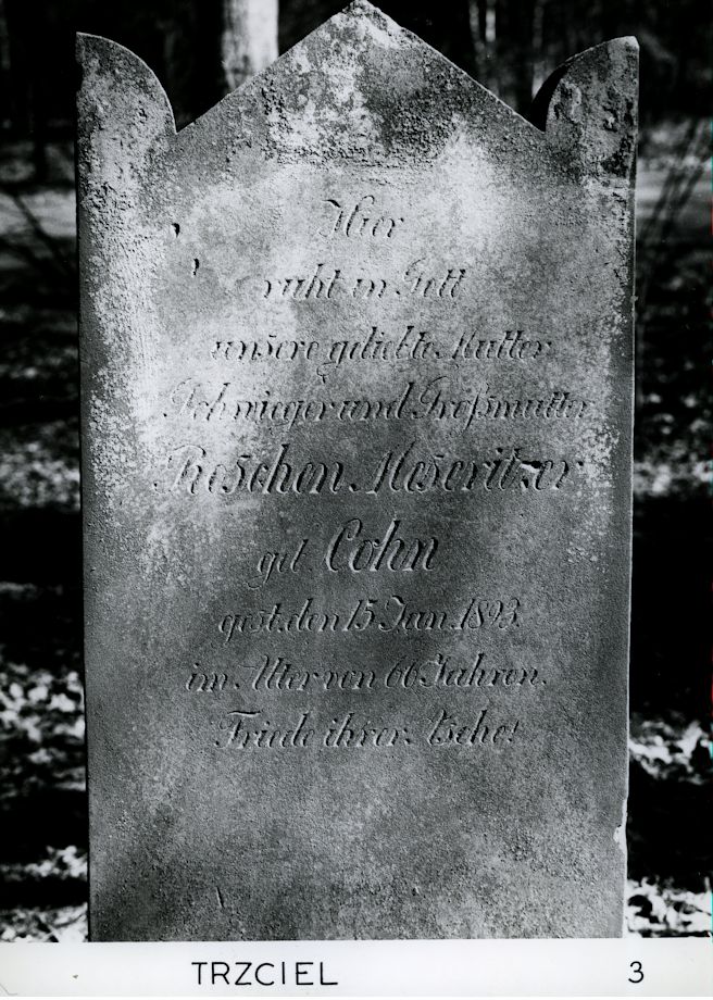 Grabstein Nummer 12 auf dem Friedhof Trzciel (Tirschtiegel)