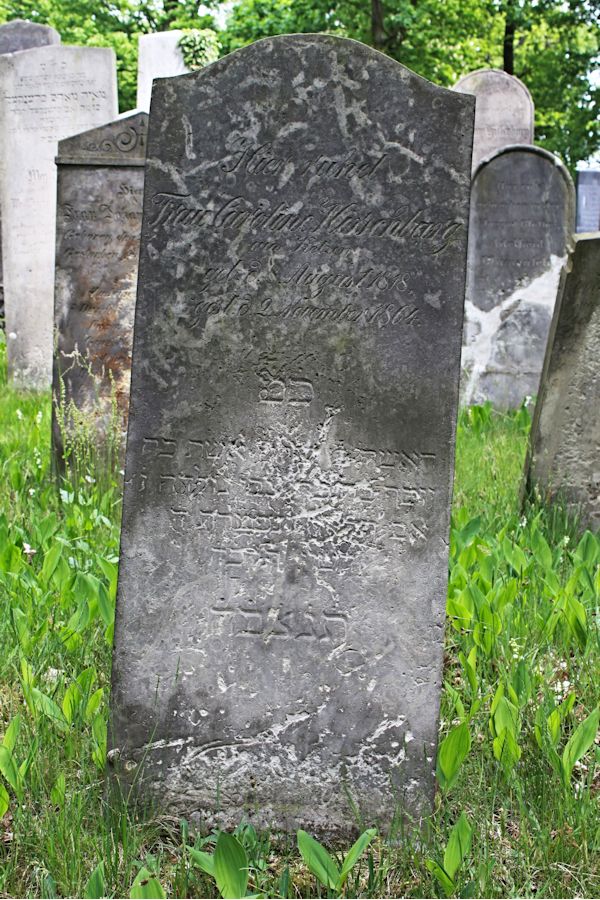 Grabstein Nummer 185 auf dem Friedhof Potsdam
