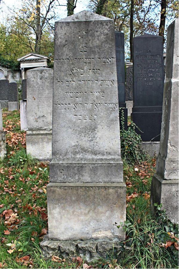 Grabstein Nummer 308 auf dem Friedhof Potsdam