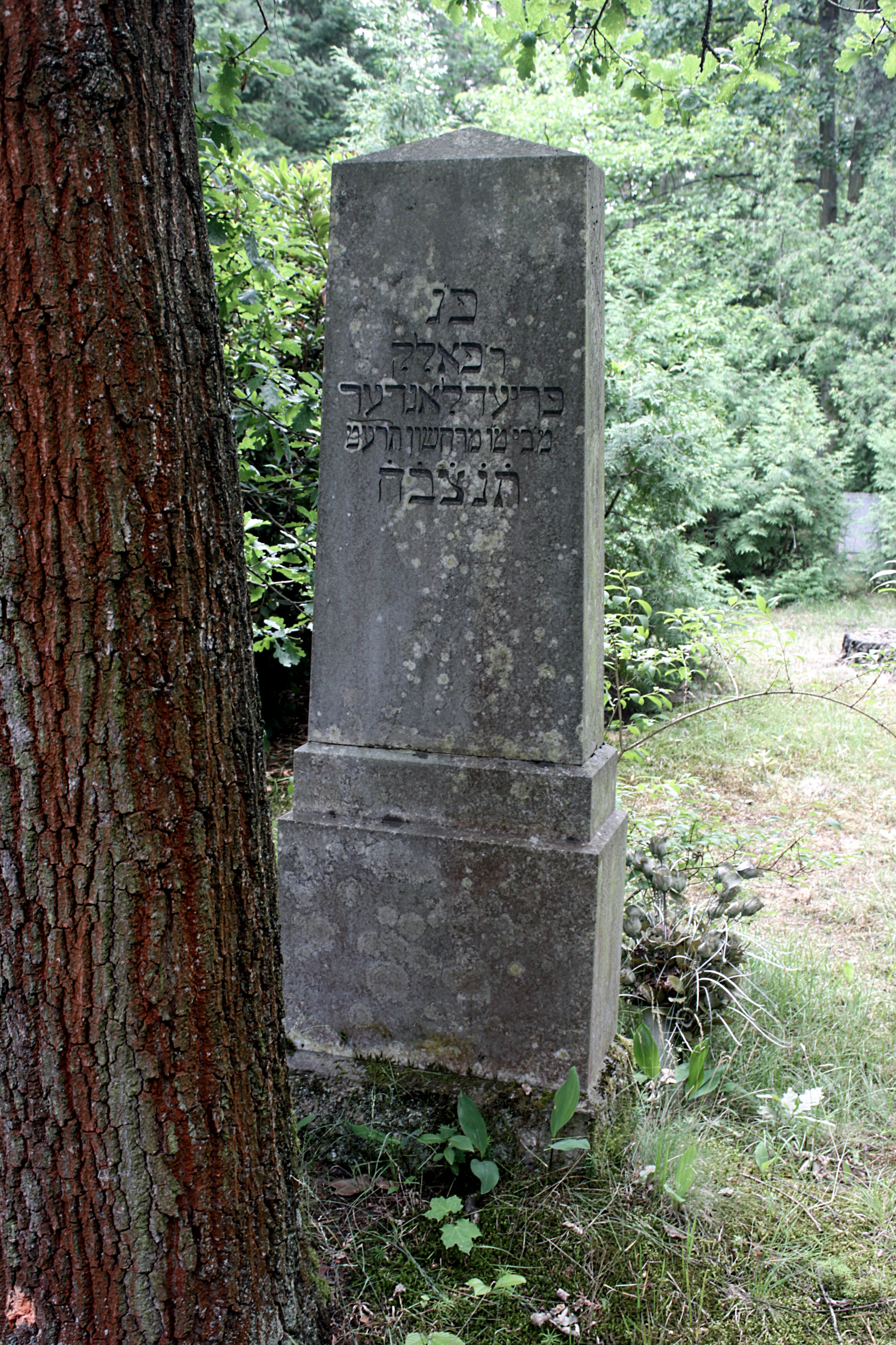 Grabstein Nummer 44 auf dem Friedhof Cottbus 1