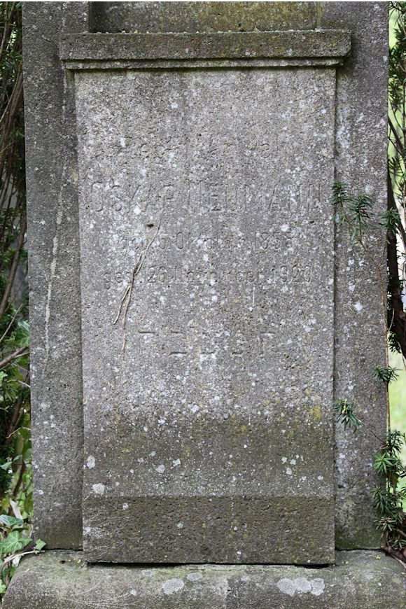 Grabstein Nummer 378 auf dem Friedhof Potsdam