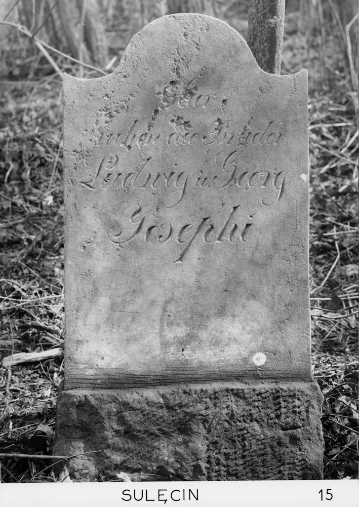 Grabstein Nummer 16 auf dem Friedhof Sulęcin (Zielenzig)