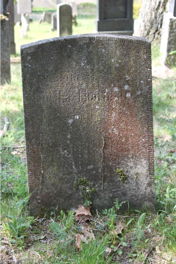 Grabstein Nummer 427 auf dem Friedhof Potsdam