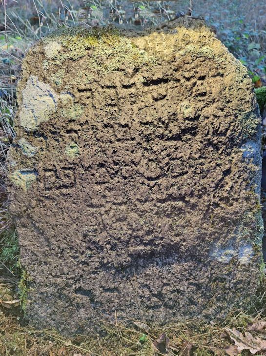 Grabstein Nummer 18 auf dem Friedhof Trzemeszno Lubuskie (Schermeisel)
