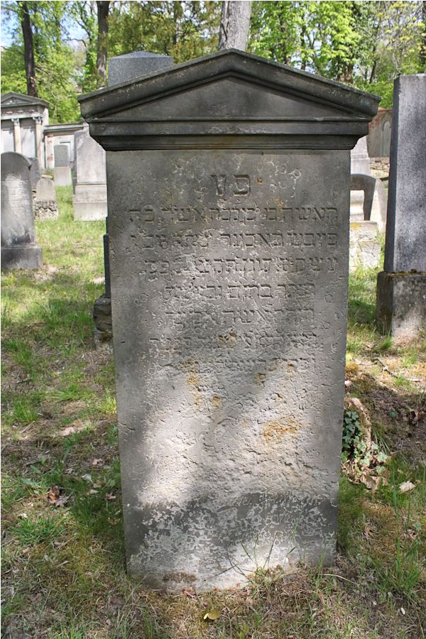 Grabstein Nummer 253 auf dem Friedhof Potsdam