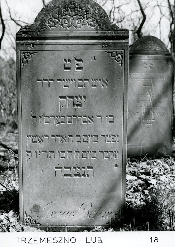 Grabstein Nummer 9 auf dem Friedhof Trzemeszno Lubuskie (Schermeisel)