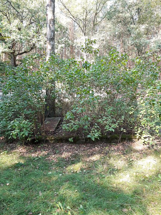 Grabstein Nummer 37 auf dem Friedhof Beeskow