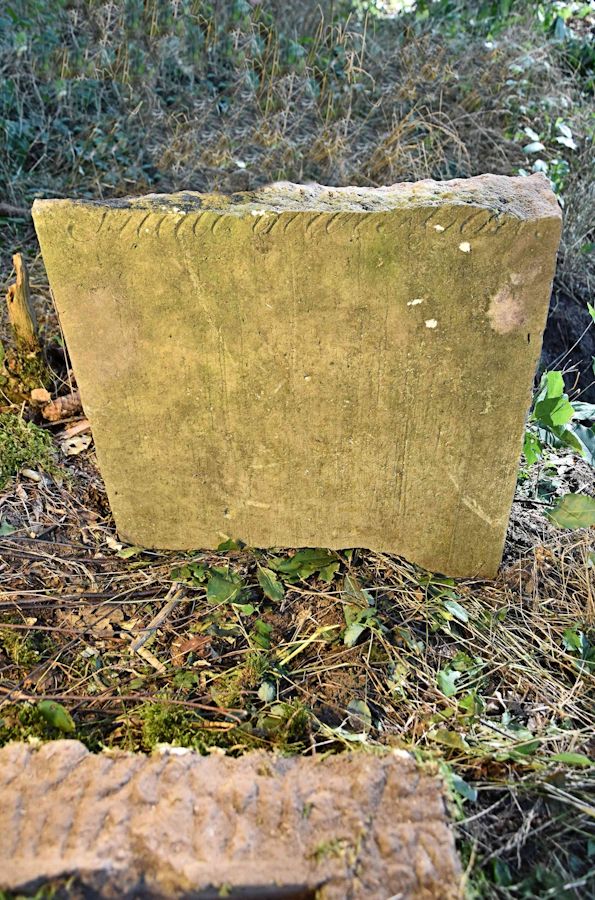 Grabstein Nummer 61 auf dem Friedhof Trzemeszno Lubuskie (Schermeisel)