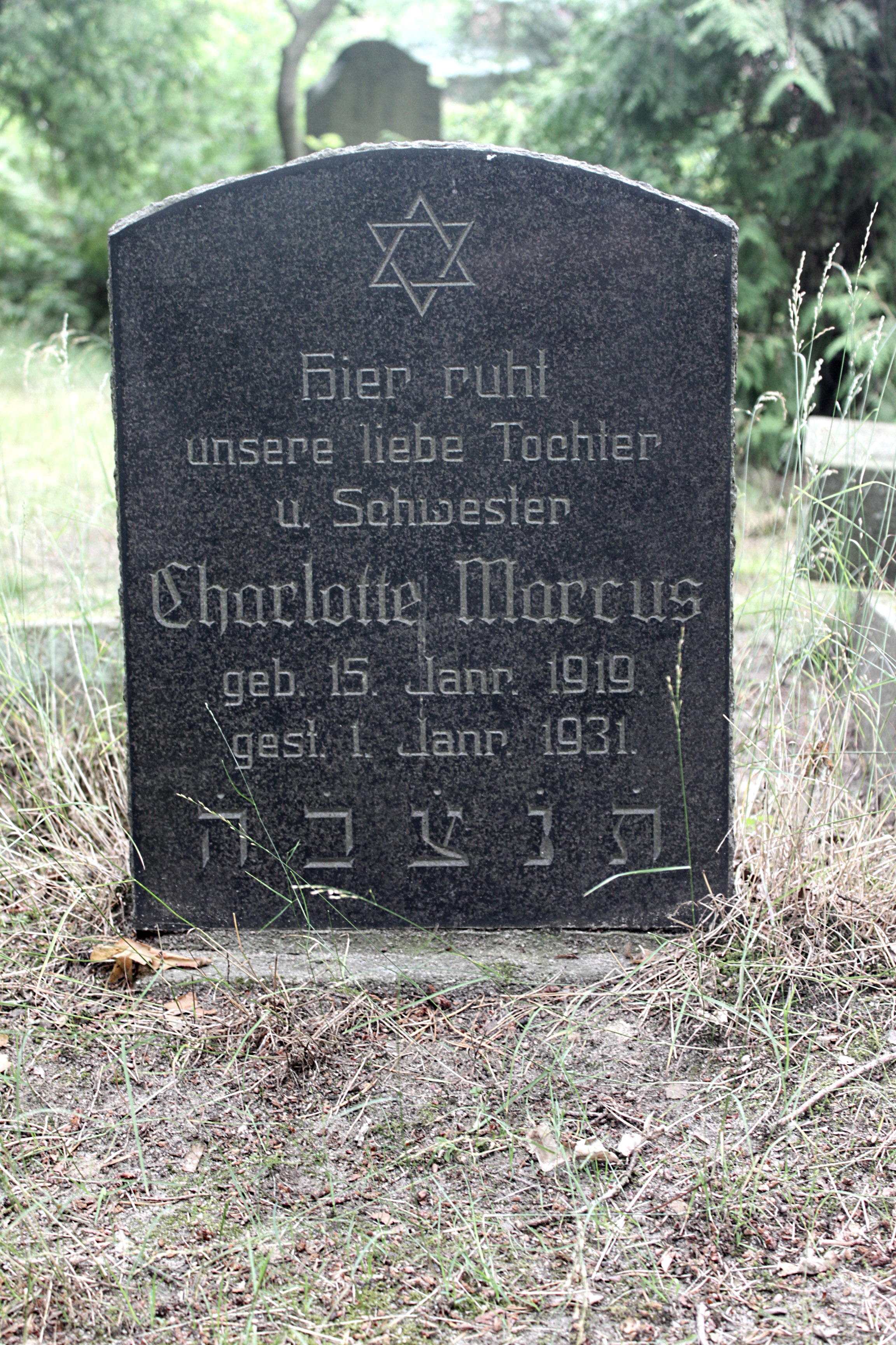 Grabstein Nummer 16 auf dem Friedhof Cottbus 1