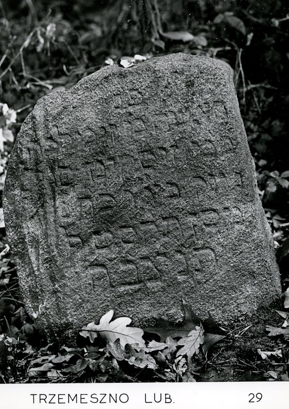 Grabstein Nummer 200 auf dem Friedhof Trzemeszno Lubuskie (Schermeisel)