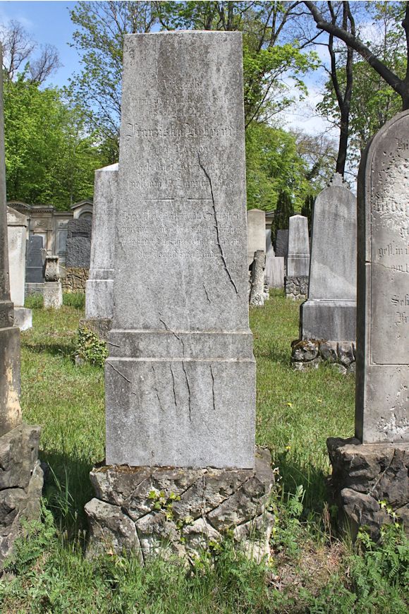 Grabstein Nummer 244 auf dem Friedhof Potsdam