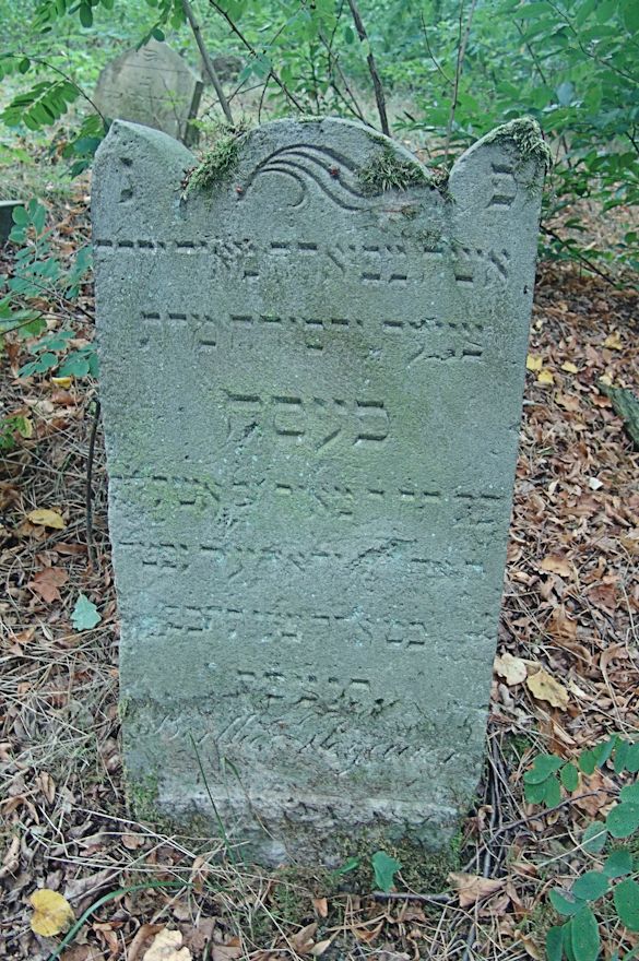 Grabstein Nummer 44 auf dem Friedhof Trzciel (Tirschtiegel)
