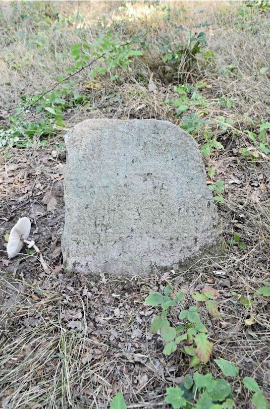 Grabstein Nummer 20 auf dem Friedhof Trzemeszno Lubuskie (Schermeisel)