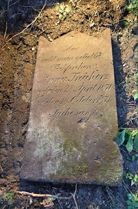 Grabstein Nummer 82 auf dem Friedhof Trzemeszno Lubuskie (Schermeisel)