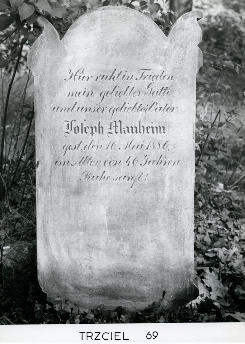 Grabstein Nummer 106 auf dem Friedhof Trzciel (Tirschtiegel)