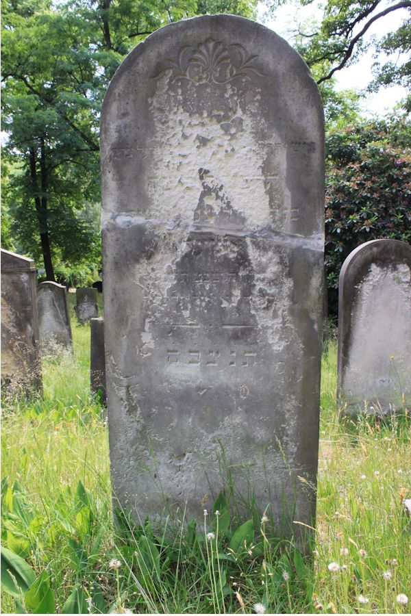 Grabstein Nummer 219 auf dem Friedhof Potsdam