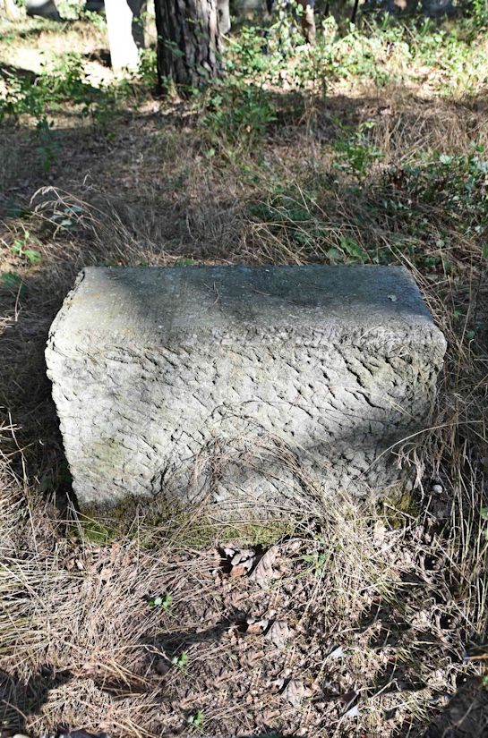 Grabstein Nummer 47 auf dem Friedhof Trzemeszno Lubuskie (Schermeisel)
