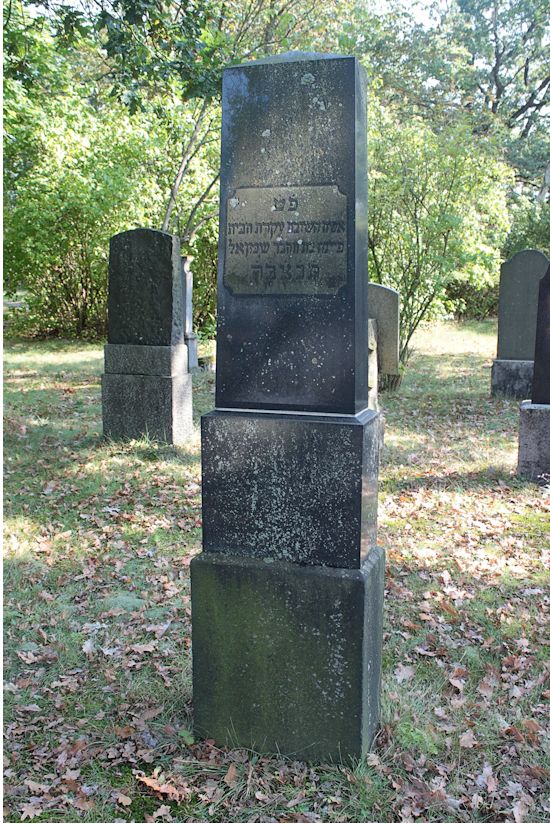 Grabstein Nummer 99 auf dem Friedhof Guben