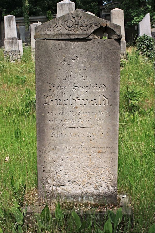 Grabstein Nummer 240 auf dem Friedhof Potsdam