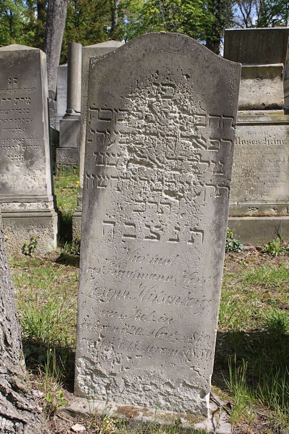 Grabstein Nummer 206 auf dem Friedhof Potsdam