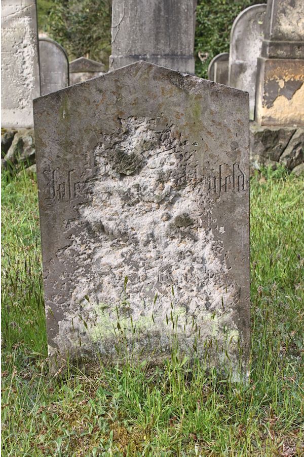 Grabstein Nummer 260 auf dem Friedhof Potsdam