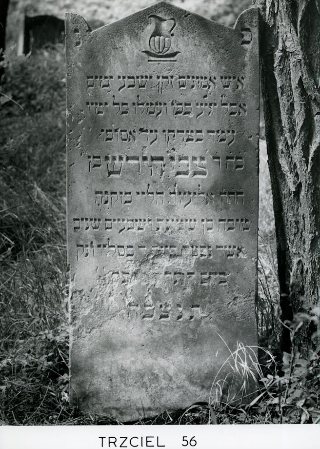 Grabstein Nummer 113 auf dem Friedhof Trzciel (Tirschtiegel)