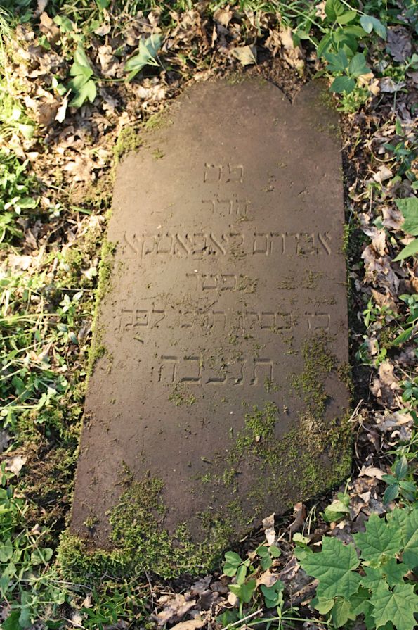 Grabstein Nummer 21 auf dem Friedhof Torzym (Sternberg)