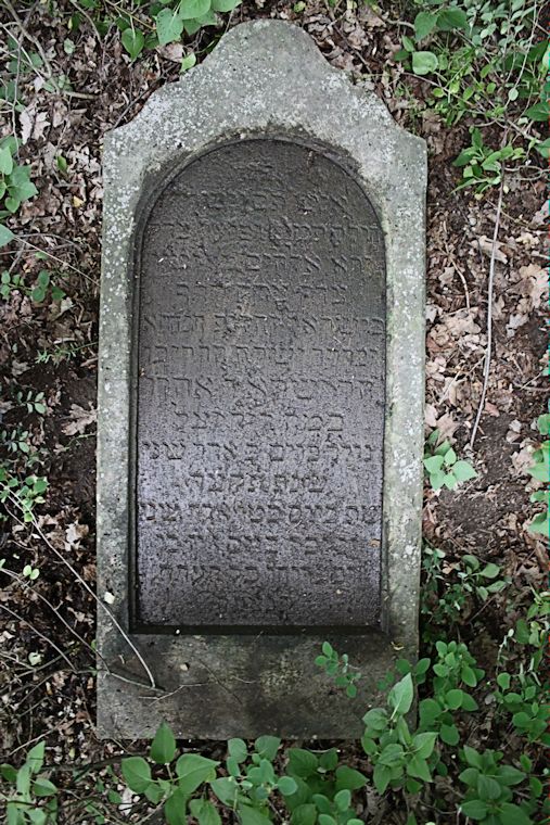 Grabstein Nummer 19 auf dem Friedhof Zasieki (Forst)