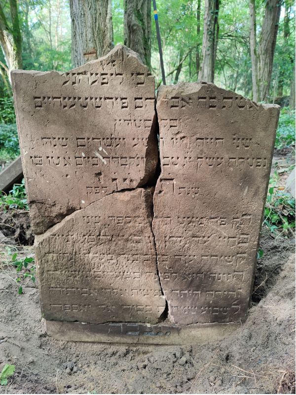 Grabstein Nummer 18 auf dem Friedhof Boleszkowice (Fürstenfelde)
