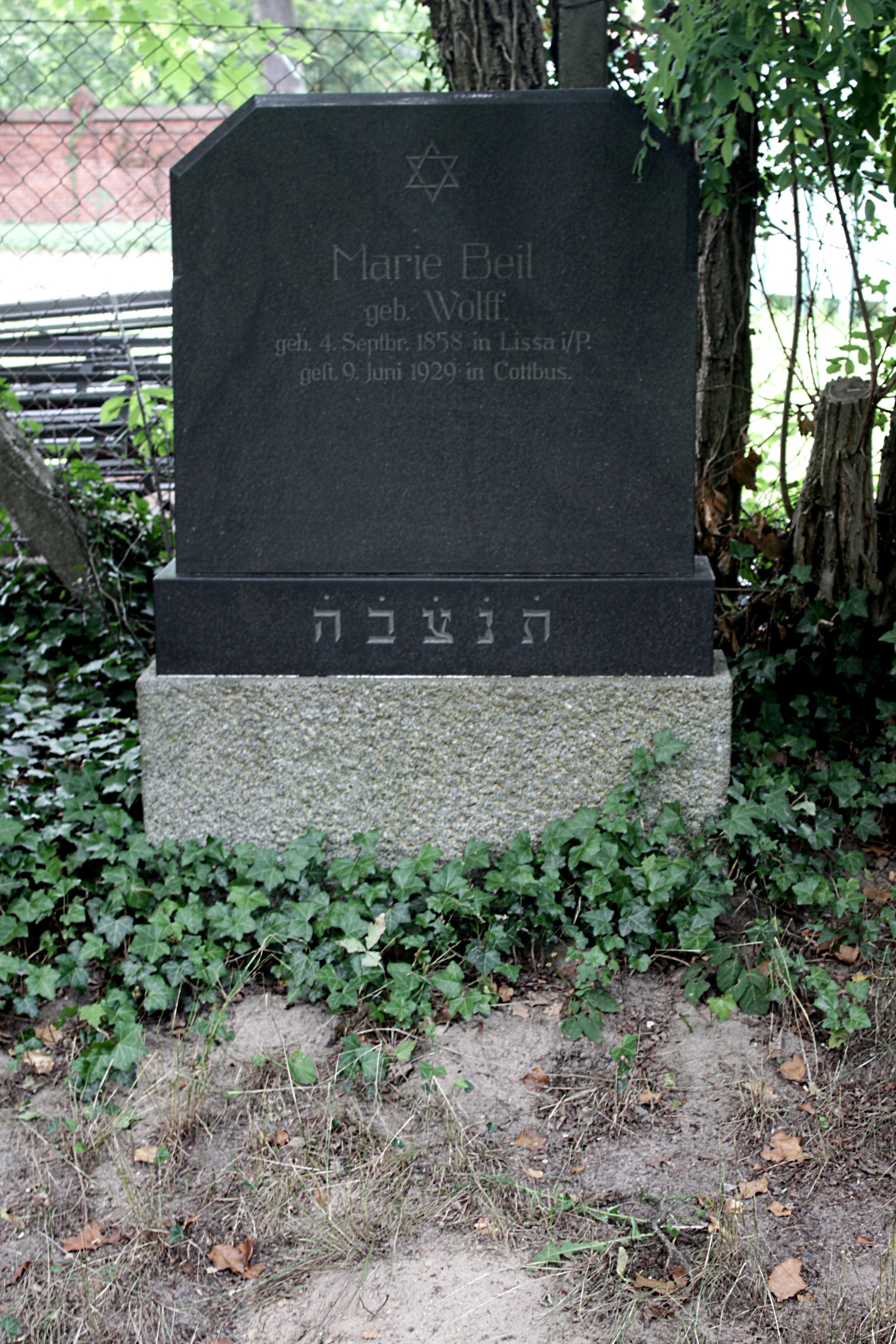 Grabstein Nummer 51 auf dem Friedhof Cottbus 1