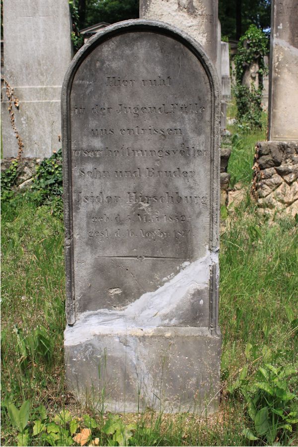 Grabstein Nummer 217 auf dem Friedhof Potsdam