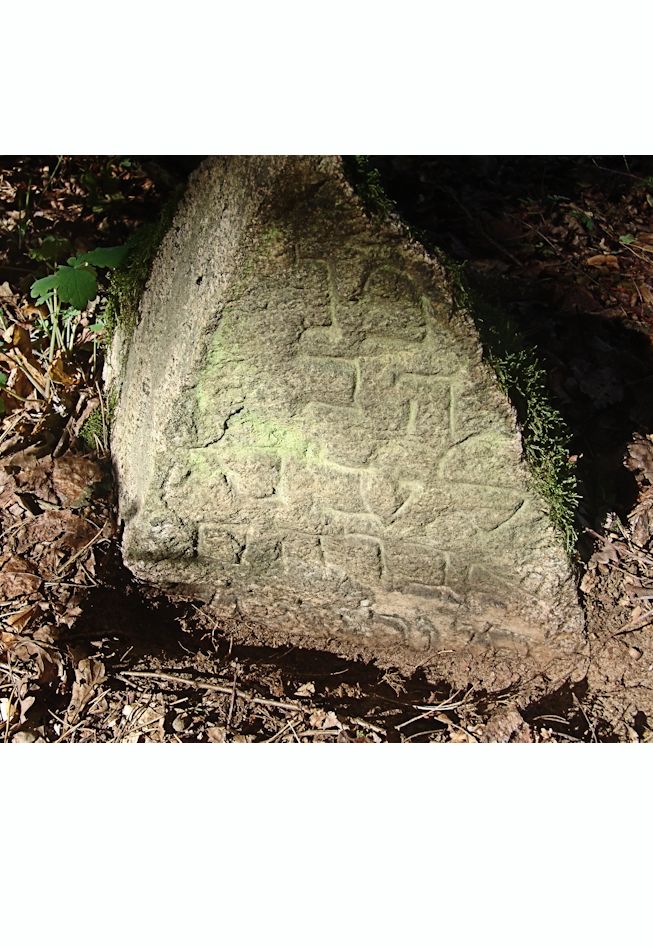 Grabstein Nummer 64 auf dem Friedhof Trzciel (Tirschtiegel)