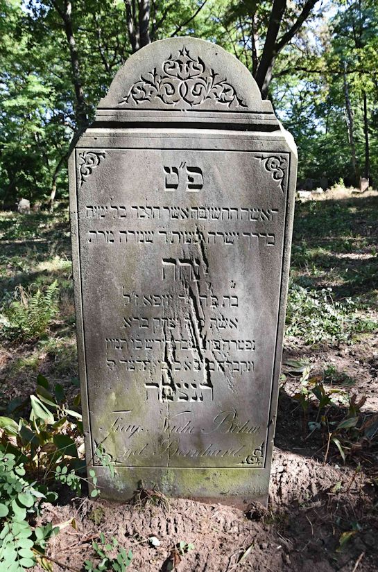 Grabstein Nummer 11 auf dem Friedhof Trzemeszno Lubuskie (Schermeisel)