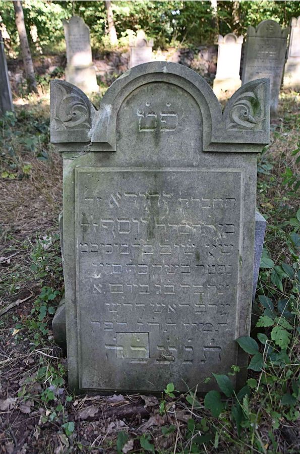 Grabstein Nummer 72 auf dem Friedhof Trzemeszno Lubuskie (Schermeisel)