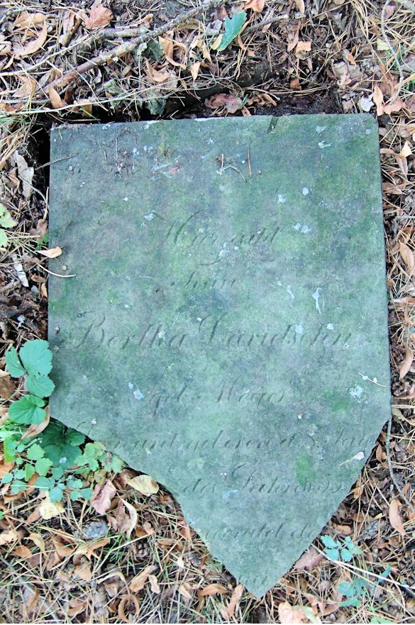 Grabstein Nummer 8 auf dem Friedhof Trzciel (Tirschtiegel)
