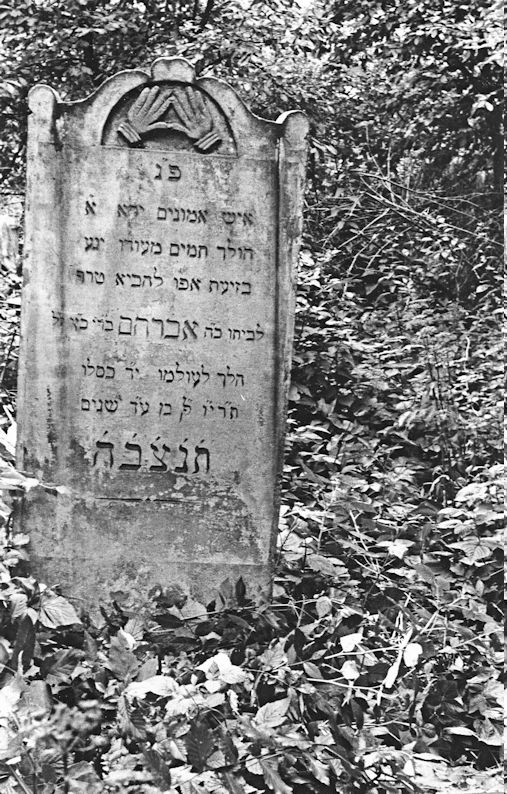 Grabstein Nummer 8 auf dem Friedhof Chojna (Königsberg)