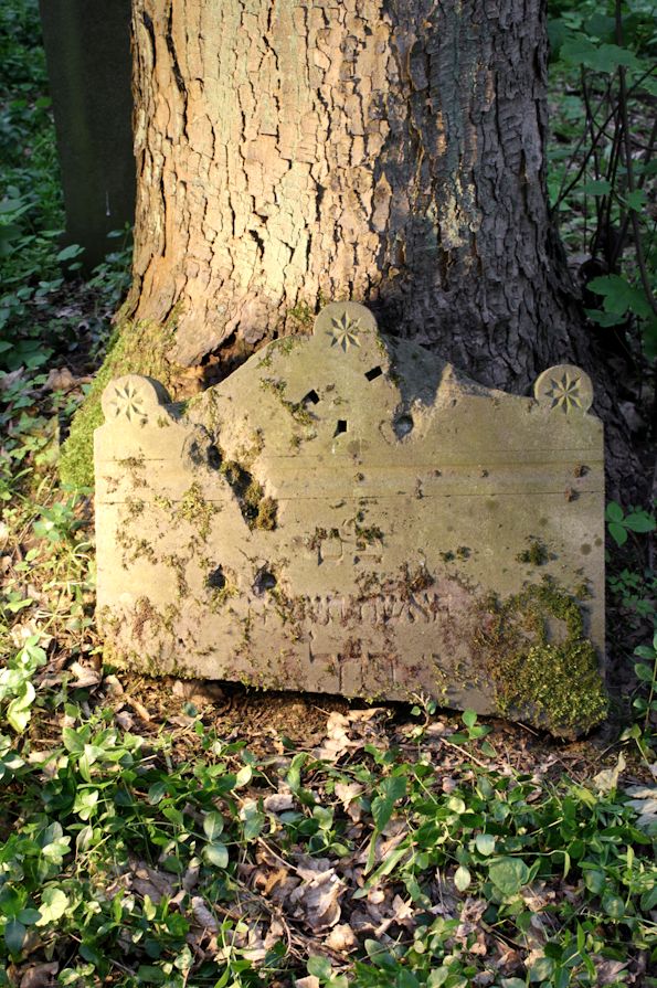 Grabstein Nummer 12 auf dem Friedhof Torzym (Sternberg)