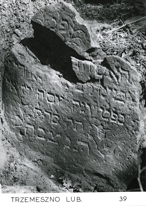Grabstein Nummer 201 auf dem Friedhof Trzemeszno Lubuskie (Schermeisel)