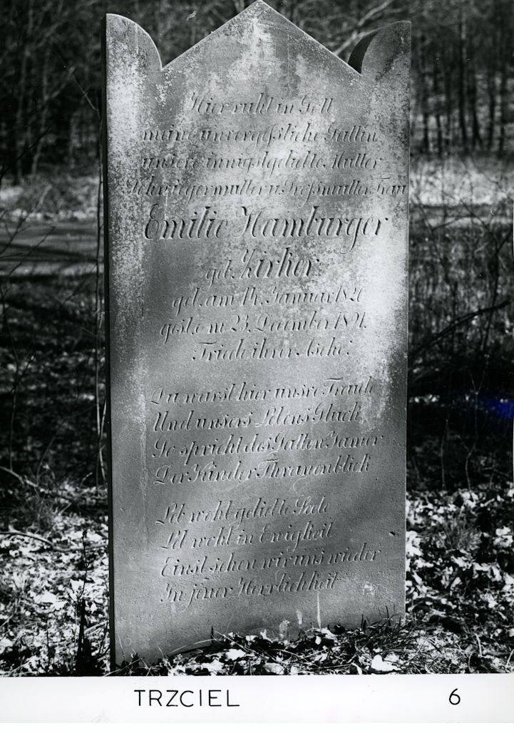 Grabstein Nummer 14 auf dem Friedhof Trzciel (Tirschtiegel)