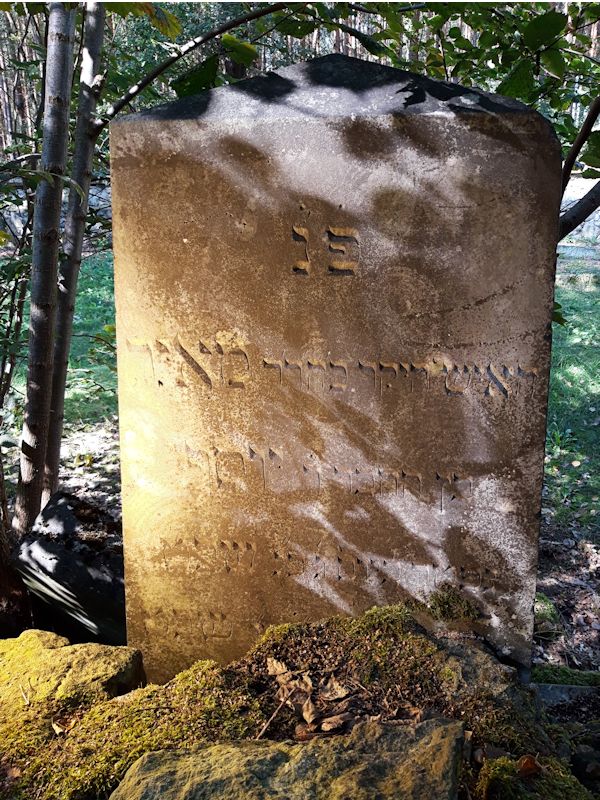 Grabstein Nummer 51 auf dem Friedhof Beeskow