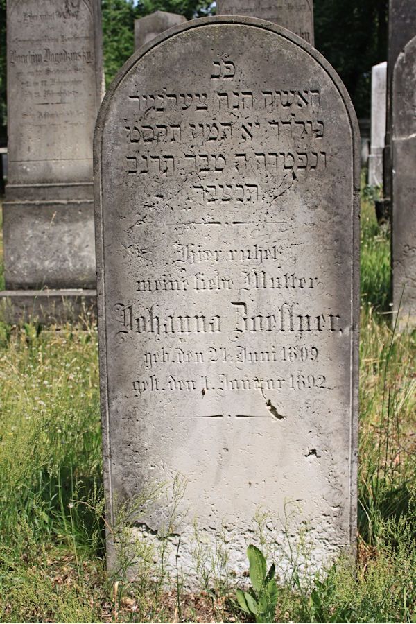 Grabstein Nummer 203 auf dem Friedhof Potsdam