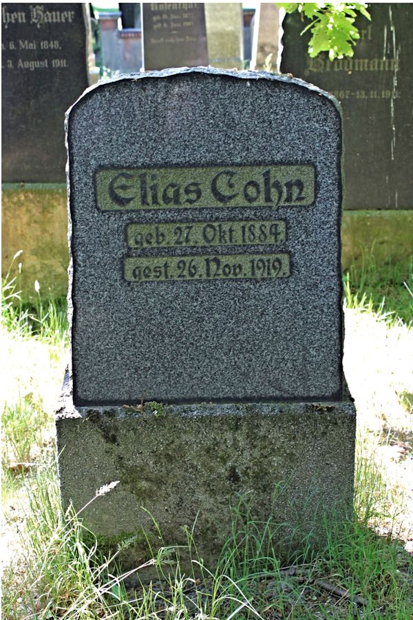 Grabstein Nummer 367 auf dem Friedhof Potsdam