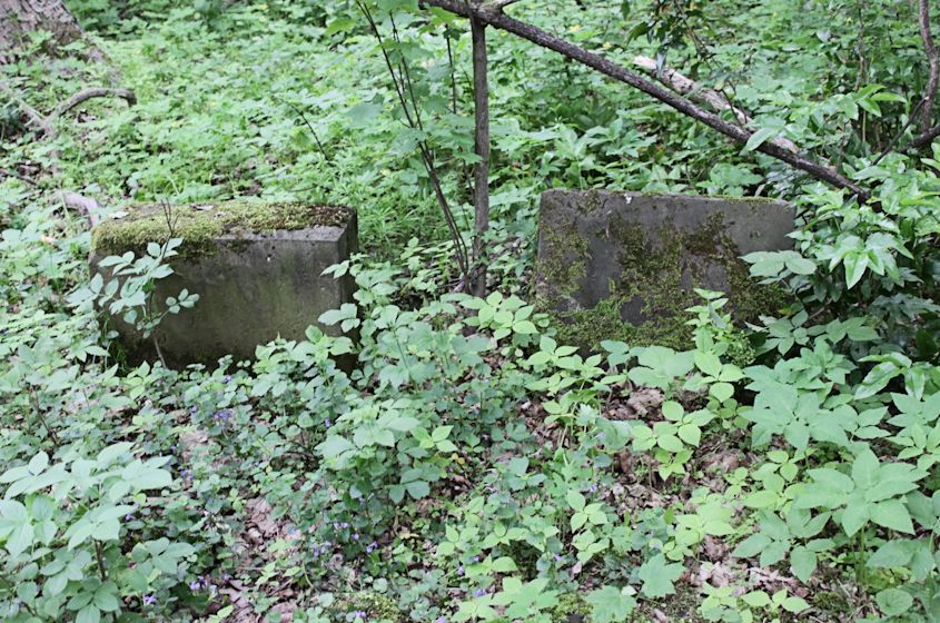 Grabstein Nummer 6 auf dem Friedhof Torzym (Sternberg)