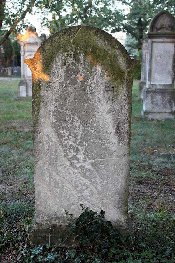 Grabstein Nummer 5 auf dem Friedhof Guben