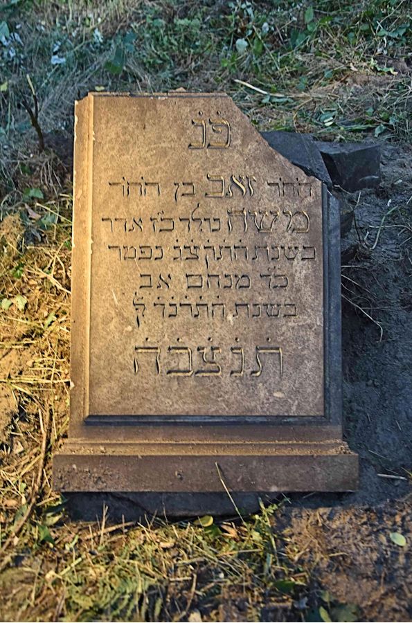 Grabstein Nummer 110 auf dem Friedhof Trzemeszno Lubuskie (Schermeisel)